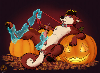 animal_genitalia animal_penis anthro balls bodily_fluids canine_genitalia canine_penis collar cum disembodied_hand ejaculation erection feet food fruit genital_fluids genitals ghost_hand group half-closed_eyes hypnosis hypnotic_eyes jack-o'-lantern knot leash leash_pull leashed_collar male mind_control narrowed_eyes nude open_mouth pawpads penis plant pumpkin ringed_eyes solo_focus submissive submissive_male tongue tongue_out whiteklaw kudosea canid canine canis domestic_dog husky mammal nordic_sled_dog spitz hi_res