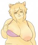 anthro areola big_areola big_breasts big_nipples bra breasts butter clothing dairy_products exposed_breasts female food hair huge_breasts inverted_nipples looking_at_viewer nipples one_breast_out open_mouth overweight overweight_anthro overweight_female simple_background smile smug solo underwear undressing 0phanim domestic_cat felid feline felis mammal