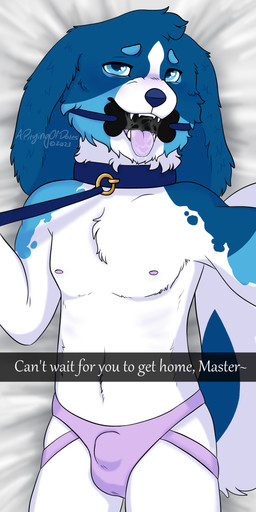 anthro bed bit_gag bodily_fluids bone_gag clothing collar drooling femboy floppy_ears fluffy furniture gag jockstrap leash leash_pull male nipples saliva solo tongue tongue_out underwear apityingofdoves snapchat canid canine canis domestic_dog mammal absurd_res hi_res