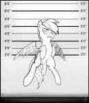 angry animal_genitalia animal_penis balls chart crossgender cutie_mark equine_genitalia equine_penis feathered_wings feathers feral flying ftm_crossgender genitals hair half-erect height_chart male penis solo wings pentabins friendship_is_magic hasbro my_little_pony mythology rainbow_dash_(mlp) equid equine mammal mythological_creature mythological_equine pegasus 2013 absurd_res black_and_white hi_res monochrome