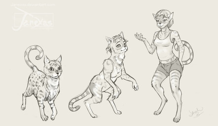anthro barefoot base_one_layout basic_sequence biped clothed clothing feet female feral feral_to_anthro hair linear_sequence looking_at_viewer one_row_layout shirt short_hair simple_background smile solo standing tank_top three_frame_image three_frame_sequence topwear transformation transformation_sequence lylas bengal_cat domestic_cat felid feline felis mammal 2014 sequence