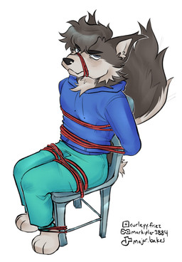 annoyed anthro bdsm bondage bottomwear bound chair chair_bondage clothed clothing countershade_tail countershading discord_logo fluffy fluffy_tail fur furniture grey_body grey_fur hoodie instagram_logo looking_at_viewer male metal_chair muzzle_(object) muzzled pants red_rope restraints rope rope_bondage rope_muzzle simple_background sitting solo sweatpants tail text tiktok_logo topwear white_background curleyfriez discord_(app) instagram tiktok ac. canid canine canis mammal wolf 2025 artist_name digital_media_(artwork) hi_res