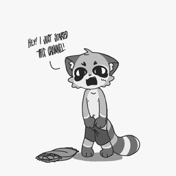 angry anthro bottomwear clothing male nipples shorts solo text undressing capnkabi kabi_(capnkabi) mammal procyonid raccoon 1:1 english_text monochrome