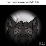 anthro black_body black_fur black_nose ears_up eyebrows fur looking_at_viewer looking_through looking_through_hole male simple_background simple_eyes solo text vanitum max_damage_(furry) canid canine canis mammal wolf letterbox meme