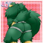1:1 accipitrid accipitriform anthro avian beak bird blush bulge claws clothed clothing feathers fur green_body green_fur japanese_text jockstrap looking_at_viewer male muscular muscular_anthro muscular_male partially_clothed presenting samoji simple_background solo text three-quarter_view underwear underwear_festival