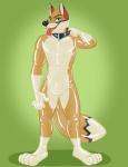 2018 4_toes anthro black_collar blue_eyes bodysuit bulge canid canine canis clothed clothing collar coyote decafyote digital_drawing_(artwork) digital_media_(artwork) feet fur glistening green_background hornbuckle latex male mammal markings open_mouth simple_background skinsuit smile solo teeth tight_clothing toes tongue tongue_out