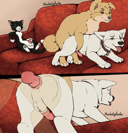 anal animal_genitalia animal_penis anus balls black_body black_fur bodily_fluids butt canine_genitalia canine_penis collar crossgender doggystyle erection eunuch feral feral_on_feral from_behind_position ftm_crossgender fur furniture genital_fluids genitals group knot male male_penetrating masturbation open_mouth pawpads paws penetration penile penile_penetration penile_spines penis pink_anus pink_penis red_collar red_sofa sex sitting smile sofa tail tan_body tan_fur tongue trio white_body white_fur mochasplash bolt_(film) disney lady_and_the_tramp angel_(lady_and_the_tramp) bolt_(bolt) mittens_(bolt) berger_blanc_suisse canid canine canis domestic_cat domestic_dog felid feline felis german_shepherd herding_dog mammal pastoral_dog tuxedo_cat digital_media_(artwork)