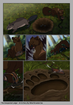 animal_genitalia balls beaver_tail feral footprint genitals grass leaf limping outside pawprint plant sheath sigh text trap_(contrivance) walking bitterstrawberries echo_(bitterstrawberries) husq_(bitterstrawberries) beaver fisher_(animal) gulonine mammal mustelid musteline rodent absurd_res comic english_text hi_res