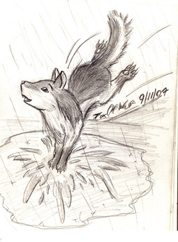 after_transformation claws female feral fur happy mud open_mouth pawpads playful playing puddle raining sharp_teeth simple_background solo splash splashing_water teeth water wet crazedcollie lady:_my_life_as_a_bitch canid canine canis collie domestic_dog herding_dog mammal pastoral_dog sheepdog black_and_white monochrome signature