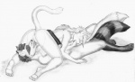2012 anus canine cat cracky cunnilingus eyes_closed feline fellatio female fox hybrid licking lying male mammal multiple_tails nude on_back oral oral_sex penis pussy raccoon raised_tail sex sketch straight tongue vaginal
Rating: Explicit
Score: 3
User: tony311
Date: September 13, 2012
