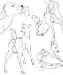 2014 absurd_res anal anal_penetration anus backlash91 balls bestiality black_nose breasts butt cervine cum cum_in_ass cum_in_mouth cum_inside cum_on_anus cum_on_butt cum_on_pussy deer disembodied_penis duo english_text fellatio female feral fisting half-closed_eyes hi_res human interspecies looking_at_viewer looking_back lying male open_mouth oral oral_sex penetration penis plain_background pussy raised_tail sex sign smile standing straight text tongue tongue_out vaginal vaginal_fisting vaginal_penetration vein veiny_penis white_background
Rating: Explicit
Score: 4
User: Finchmaster
Date: March 08, 2014