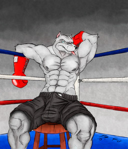 2013 abs anthro armpits balls biceps black_nipples blue_eyes boxer boxing bulge canine clothing dog erection gloves jrbart looking_at_viewer male mammal muscles nipples pecs penis pitbull reclining shorts sitting solo tongue tongue_out
Rating: Explicit
Score: 8
User: unforget
Date: February 20, 2014