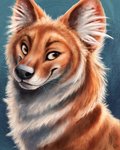 ambiguous_gender black_nose blue_background brown_body brown_eyes brown_fur feral fur inner_ear_fluff simple_background smile solo tuft whiskers white_body white_fur kebi canid canine dhole mammal 2020 4:5 hi_res