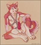 2014 anyare balls canine dog erection husky male mammal penis solo
Rating: Explicit
Score: 12
User: furmann
Date: March 30, 2014