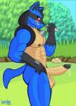 5_fingers abs anthro areola balls biceps big_balls big_penis black_body black_fur blue_body blue_tail blush bodily_fluids chest_tuft day detailed_background erection eyebrows eyelashes fingers fur genital_fluids genitals grass humanoid_genitalia humanoid_penis looking_at_viewer male muscular muscular_anthro muscular_male nipples nude outdoor_nudity outside pecs penis plant precum red_eyes sky solo spikes standing tail tree tuft yellow_body layndon nintendo pokemon generation_4_pokemon lucario pokemon_(species) 2020 absurd_res digital_media_(artwork) hi_res