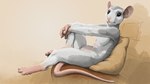 anthro barefoot bent_legs biped breasts featureless_breasts feet female female_anthro fur furniture gradient_background grey_body grey_fur looking_at_viewer multi_nipple multicolored_body multicolored_fur nipples nude nude_anthro nude_female on_sofa pillow pose raised_knee reclining rodent_tail side_view simple_background sitting sitting_on_pillow sitting_on_sofa small_breasts sofa tail tan_background white_body white_fur ipoke mammal murid murine rat rodent 16:9 2024 digital_media_(artwork) digital_painting_(artwork) full-length_portrait pinup portrait shaded soft_shading widescreen