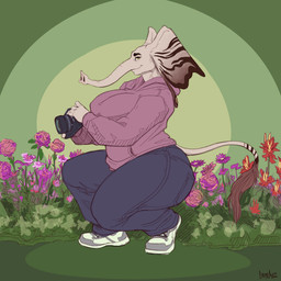 anthro big_breasts big_ears bottomwear breasts camera clothing female flower footwear grass huge_breasts markings outside plant proboscis_(anatomy) shirt shoes sneakers solo striped_markings striped_tail stripes tail tail_markings tail_tuft thick_thighs topwear trunk_(anatomy) tuft mainlinemojo amanda_fairhart elephant elephantid mammal proboscidean 1:1 2021 absurd_res hi_res