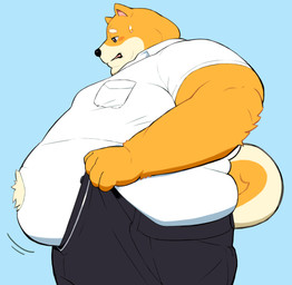 annoyed anthro belly belly_jiggle big_belly blush bodily_fluids button_(fastener) chubby_cheeks clothed clothing double_chin dressing dressing_self fur jiggling looking_at_self looking_down looking_down_at_self love_handles male moobs motion_lines obese obese_anthro obese_male open_mouth overweight overweight_anthro overweight_male solo standing straining_buttons struggling_to_fit sweat sweatdrop tan_body tan_fur tight_clothing marcoisky canid canine canis domestic_dog mammal shiba_inu spitz absurd_res hi_res
