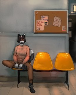 amber_eyes anthro bottomwear brown_bottomwear brown_clothing brown_pants chair clipboard clothing doctor's_office female fur furniture multicolored_body multicolored_fur orange_clothing orange_shirt orange_topwear pants shirt sitting solo tail text topwear waiting_room flintchips house.m.d. gregory_house border_collie canid canine canis collie domestic_dog herding_dog mammal pastoral_dog sheepdog absurd_res english_text hi_res
