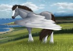 brown_eyes brown_hair cloud cloudy_sky eyebrows feathered_wings feathers feral fur grass grey_body grey_fur hair leg_markings looking_at_viewer male markings plant sky socks_(marking) solo white_markings wings alexandradane mythology dallas_prairiewind equid equine mammal mythological_creature mythological_equine pegasus