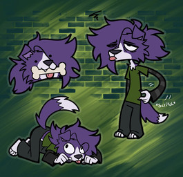 all_fours anthro black_nose blep bone bone_in_mouth bottomwear chest_tuft claws clothing dipstick_tail eye_through_hair finger_claws floppy_ears fluffy fluffy_hair fur green_clothing green_shirt green_t-shirt green_topwear hair hair_over_eye humanoid_hands long_sleeve_shirt male markings object_in_mouth pants pattern_clothing pattern_shirt pattern_topwear pink_tongue purple_hair purple_tail scratching_self shirt solo standing striped_clothing striped_shirt striped_topwear stripes t-shirt tail tail_markings tongue tongue_out topwear translucent translucent_hair tuft white_body white_fur white_tail_tip somesacredbird dog_(somesacredbird) border_collie canid canine canis collie domestic_dog herding_dog mammal pastoral_dog sheepdog 2024 digital_drawing_(artwork) digital_media_(artwork) english_description