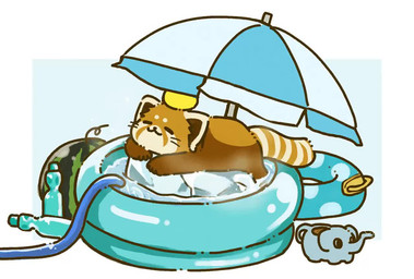 biped brown_body eyes_closed feral food fruit ice lying melon parasol plant solo water watermelon shi_nominmin ailurid mammal red_panda 2023 animated no_sound short_playtime video