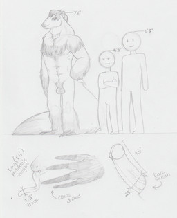 animal_genitalia anthro balls big_tail claws comparison erection fully_sheathed genitals group humanoid_genitalia humanoid_penis long_tongue male penis sheath tail tongue hellcat108all013 anteater hybrid mammal pilosan xenarthran black_and_white graphite_(artwork) hi_res model_sheet monochrome traditional_media_(artwork)