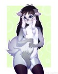 black_hair blue_eyes blush ears_outwards femboy fur grey_body grey_fur hair hiding_behind_tail nude nude_anthro pivoted_ears tail white_body white_fur lazy_simba asher_allure canid canine canis mammal wolf hi_res