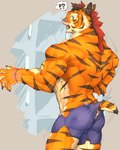 anthro black_stripes clothing countershading fur male muscular muscular_anthro muscular_male orange_body orange_fur solo striped_body stripes torn_clothing captainjohkid felid mammal pantherine tiger 4:5 hi_res