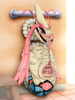 2_clitorises ahegao animal_clitoris animal_genitalia bdsm bodily_fluids body_writing bondage bound clitoris clitoris_piercing cloaca cum cum_in_vagina cum_inside cum_on_face double_clitoris female gag gagged gaping genital_fluids genital_piercing genitals graffiti hemiclitores hemiclitores_piercing hole_in_wall long_tongue looking_pleasured multi_clitoris multi_genitalia piercing public_use ring_gag text through_wall tongue tongue_out despairchanpu nintendo pokemon generation_3_pokemon milotic pokemon_(species) 3:4 absurd_res english_text hi_res