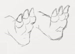 3_toes ambiguous_gender anthro barefoot claws curling_toes feet foot_focus foot_shot hindpaw paws plantigrade soles solo spread_toes toe_claws toe_wiggle toes wuffeet mario_bros nintendo koopa scalie 2017 animated black_and_white loop monochrome no_sound short_playtime sketch webm