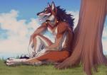 anthro biped black_nose blue_eyes brown_body brown_fur brown_hair day detailed_background fur hair male open_mouth outside plant sitting sky solo tongue tree kero_tzuki miles_(miles-wolf) canid canine canis mammal wolf 2018 digital_drawing_(artwork) digital_media_(artwork)