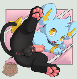 animal_genitalia animal_penis anthro anus balls blue_body blue_fur equine_genitalia equine_penis erection feet fingers fur genitals looking_at_viewer lying male nude on_side open_mouth pawpads penis simple_background solo spread_legs spreading tail teeth toes young young_anthro young_male bitesizedcookie nintendo pokemon generation_1_pokemon generation_4_pokemon mammal pokemon_(species) shinx digital_media_(artwork)