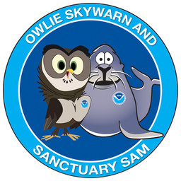 ambiguous_gender beak biped brown_body brown_fur duo feathers feral flippers fur green_eyes grey_body looking_at_viewer nude open_beak open_mouth simple_background standing text toony whiskers white_background unknown_artist national_ocean_service national_weather_service office_of_national_marine_sanctuaries owlie_skywarn sanctuary_sam aquatic avian bird california_sea_lion mammal owl pinniped sea_lion 1:1 character_name english_text low_res male_(lore)