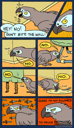 angry beak cutlery exclamation_point feathered_wings feathers feral fork furniture grey_beak grey_body grey_feathers grey_wings kitchen_utensils male offscreen_character plate solo speech_bubble table text tools wings yellow_eyes draconym african_grey afrotropical_parrot avian bird parrot true_parrot 2017 alpha_channel comic digital_media_(artwork) english_text hi_res