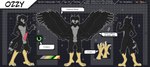 4_toes anthro butt claws feathers feet front_view fur green_eyes hair knot male muscular nude pattern_background side_view simple_background solo star tail tail_feathers text toes wings chris_the_dragon ozzy_(breakstep) accipitrid accipitriform avian bird eagle harpy_eagle owl absurd_res hi_res model_sheet