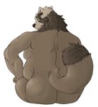 anthro belly black_nose brown_body brown_fur butt fur male moobs overweight overweight_anthro overweight_male simple_background sitting solo white_background bbbuster sihai's_legacy paul_(sihai's_legacy) canid canine mammal raccoon_dog tanuki 2021 hi_res