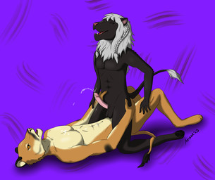 anal anal_penetration anthro balls black_body black_fur bodily_fluids braided_hair cowgirl_position cum duo erection from_front_position fur genital_fluids genitals hair happy humanoid_genitalia humanoid_penis male male/male male_on_bottom male_on_top male_penetrated male_penetrating male_penetrating_male nude on_bottom on_top orgasm penetration penis sex straddling white_hair axikor hirple takaa cougar felid feline lion mammal pantherine