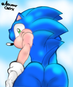 anthro balls barely_visible_balls barely_visible_genitalia bloom butt genitals looking_at_viewer looking_back low-angle_view male mostly_nude perineum sky solo ancientonyx sega sonic_the_hedgehog_(series) sonic_the_hedgehog eulipotyphlan hedgehog mammal