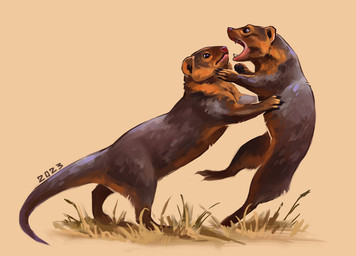 black_eyes brown_body brown_fur duo feral fight fur grass open_mouth plant pushing quadruped short_fur tan_body tan_fur alexpahomov herpestid mammal mongoose 2023 digital_media_(artwork) digital_painting_(artwork) painting_(artwork)