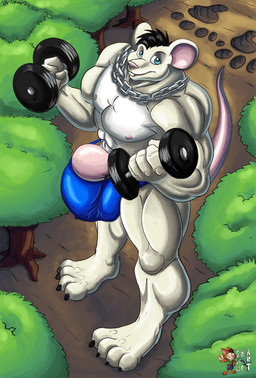 5_fingers abs anthro balls big_balls big_bulge big_muscles big_penis biped bird's-eye_view black_hair blue_eyes blush bulge chain chain_jewelry chain_necklace claws clothed clothing dumbbell exercise feet fingers forest fur genitals green_eyes growth hair high-angle_view huge_balls huge_bulge huge_muscles huge_penis humanoid_genitalia humanoid_hands humanoid_penis hyper hyper_balls hyper_bulge hyper_genitalia hyper_penis jewelry looking_at_viewer macro macro_anthro macro_male male muscle_growth muscular muscular_anthro muscular_male muscular_thighs necklace nipples nude outside paws pecs penis penis_base plant plantigrade smile solo standing toe_claws tree underwear underwear_only weightlifting weights white_body white_fur workout rasmussen891 aidan_mouse mammal mouse murid murine rodent 2020 digital_drawing_(artwork) digital_media_(artwork) hi_res