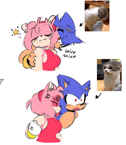 accessory annoyed anthro belly black_nose blue_body blue_fur blush bracelet clothed clothed_anthro clothed_female clothing dress duo eyebrow_piercing eyelashes facial_piercing female fingerless_gloves fully_clothed fully_clothed_anthro fully_clothed_female fur gloves hair hair_accessory hairband handwear jewelry machine male piercing pink_body pink_fur pink_hair pink_inner_ear quills_(anatomy) red_clothing red_dress red_eyes sniffing tan_arms tan_belly tan_inner_ear tan_mouth white_clothing white_gloves white_handwear quavernsfw sega sonic_the_hedgehog_(series) amy_rose metal_sonic eulipotyphlan hedgehog mammal robot robot_anthro guide_lines sketch