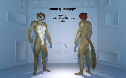 anthro erection genitals husky_retriever_mix male nude nude_male penis solo perturbedmania zander_murphy canid canine canis domestic_dog mammal 3d_(artwork) daz_studio_(artwork) digital_media_(artwork) hi_res model_sheet