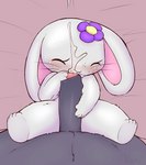 anthro bed bedding bedding_background bodily_fluids cum cum_on_bed cum_on_face duo erection eyes_closed female first_person_view flower foreskin foreskin_play fur furniture genital_fluids genitals hug hugging_another hugging_penis loli lying male male/female male_pov nude on_back penis pink_background plant semi-anthro simple_background size_difference spread_legs spreading white_body white_fur young young_anthro young_female milachu92 lantha human lagomorph leporid mammal rabbit 2021 absurd_res hi_res signature adult_(lore)