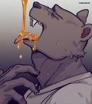 anthro clothed clothing food honey_(food) male sharp_teeth solo teeth kadikadisake beastars riz_(beastars) bear brown_bear mammal ursine hi_res