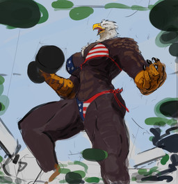 abs american_flag_bikini anthro beak big_breasts bikini breasts brown_body brown_feathers clothed clothing dumbbell exercise feathers female flag_bikini flag_swimwear front_view muscular muscular_anthro muscular_female scuted_hands scutes skimpy solo swimwear two-piece_swimsuit weightlifting weights workout glewes accipitrid accipitriform avian bald_eagle bird eagle sea_eagle hi_res sketch
