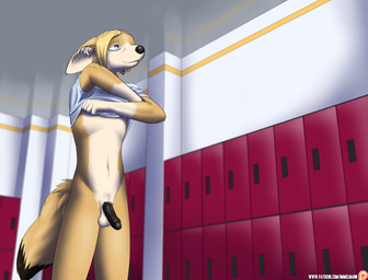 anthro balls biped black_penis blue_eyes bottomless clothed clothing foreskin fur genitals hair half-erect humanoid_genitalia humanoid_penis inside locker locker_room male nude partially_retracted_foreskin penis slim solo standing text undressing nx-42 sedjet_ahmes_(character) canid canine mammal 2015 absurd_res hi_res url