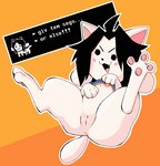 >:3 black_hair clothed clothing clothing_lift dialogue dialogue_box female feral flashing flashing_breasts genitals hair humor inviting nipples pawpads paws presenting presenting_pussy pussy shirt shirt_lift simple_background solo spread_legs spreading text topwear ponporio undertale undertale_(series) temmie_(undertale) canid canine felid feline mammal tem animated english_text engrish short_playtime