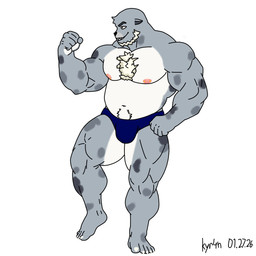 anthro barazoku clothed clothing flexing flexing_bicep fur grey_body grey_fur humanoid_hands looking_away male moobs musclegut muscular nipples pink_nipples simple_background smile solo speedo speedo_only swimwear topless white_background kyr4n celtic_mythology european_mythology mythology aquatic mammal mythological_creature mythological_marine pinniped seal selkie spotted_seal 1:1 2026 hi_res