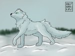 ambiguous_gender feral fur green_eyes looking_away paws side_view snow solo white_body white_fur nivalis_(artist) sya_(nivalis) arctic_fox canid canine fox mammal true_fox 4:3 hi_res signature